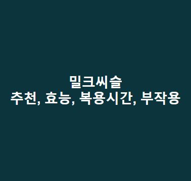 밀크씨슬-추천-효능-복용시간-부작용-총정리
