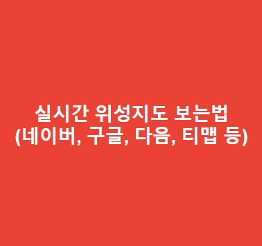 실시간-위성지도-보는법네이버-구글-다음-티맵-등